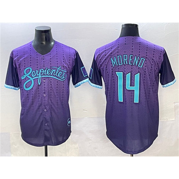 A.Diamondbacks #14 Gabriel Moreno Purple 2025 City Connect Limited Stitched  Jersey