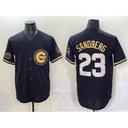 C.Cubs #23 Ryne Sandberg Black Gold 'Ryne Sandberg Tribute' Vapor Limited V2 Stitched Jersey